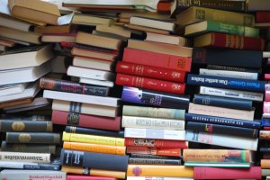 2013-10-17-BooksbySimoneCollins